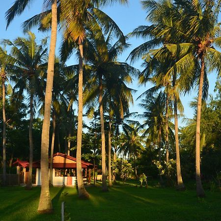 Amigos Bungalows Gili Meno Esterno foto