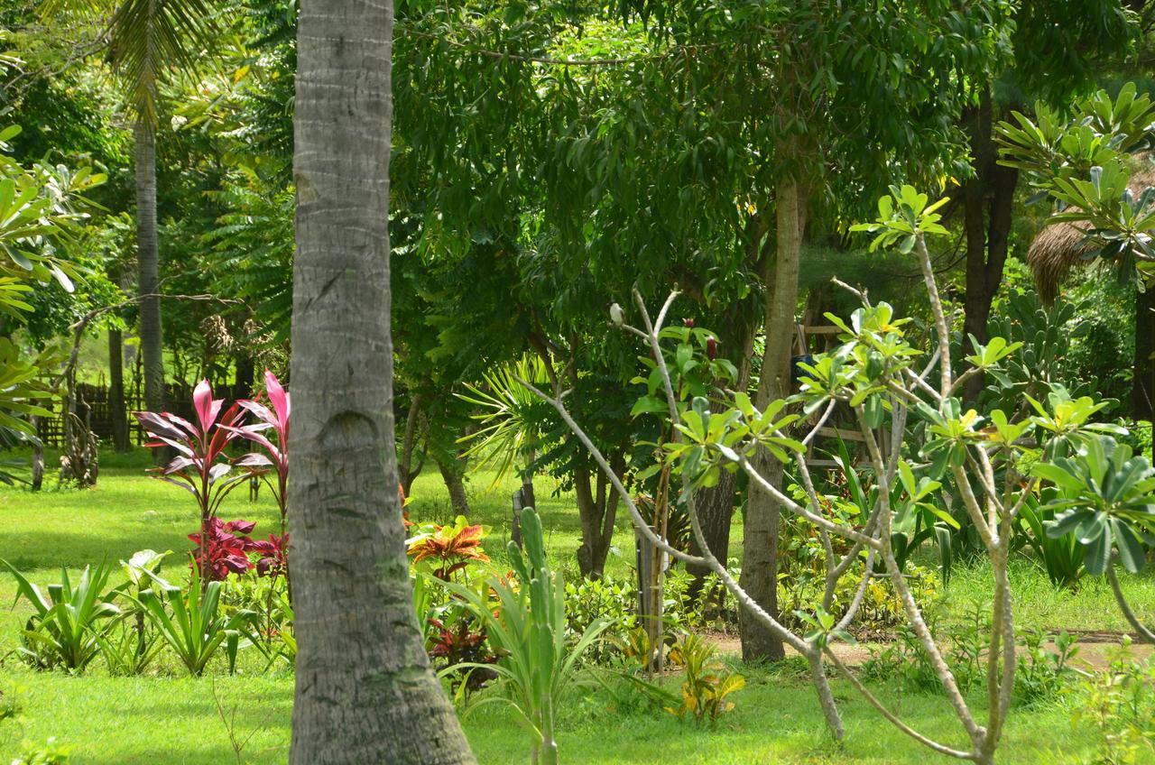 Amigos Bungalows Gili Meno Esterno foto
